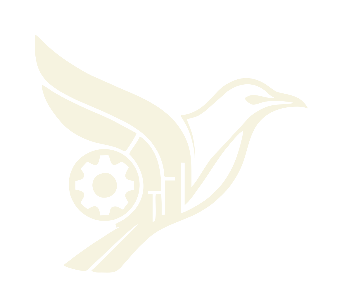 VSM Logo